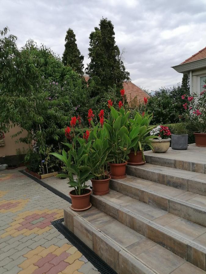 Kaktuszvirág Apartmanház Hajdúszoboszló Esterno foto