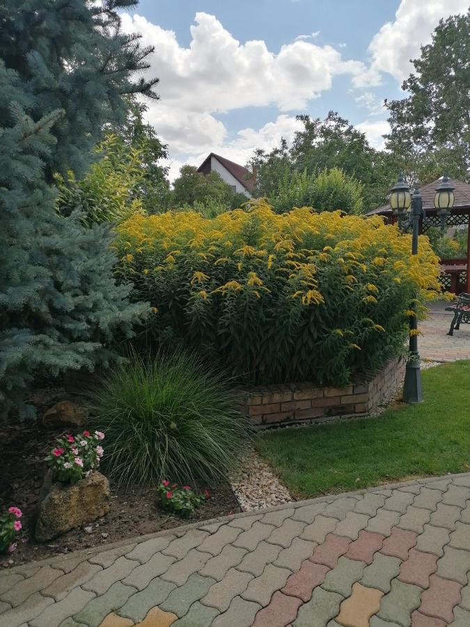 Kaktuszvirág Apartmanház Hajdúszoboszló Esterno foto